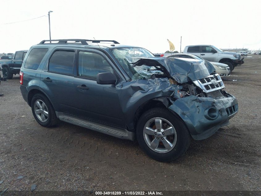 2010 FORD ESCAPE XLT