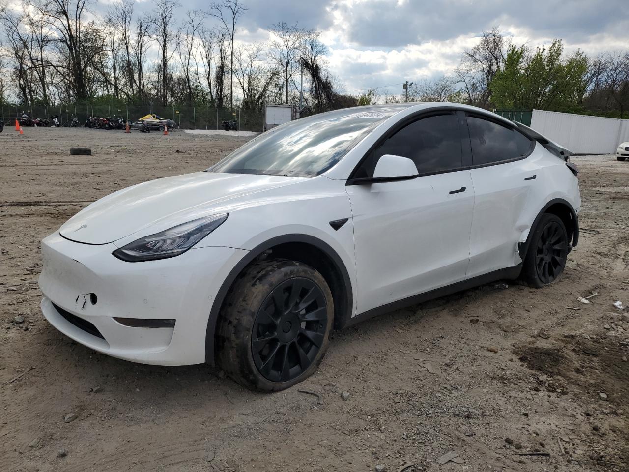 2020 TESLA MODEL Y