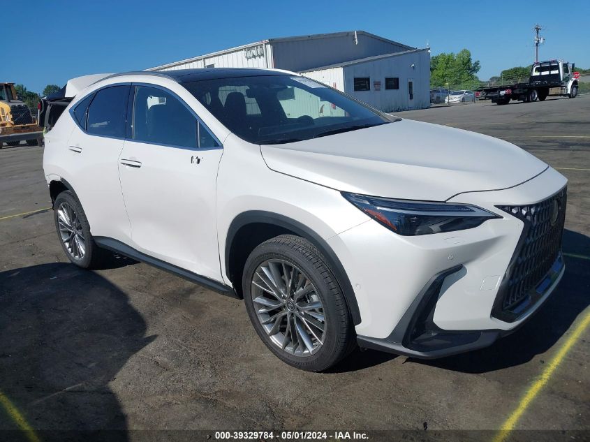 2022 LEXUS NX 350H LUXURY