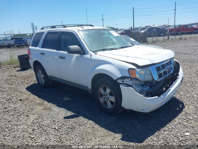 2010 FORD ESCAPE XLT