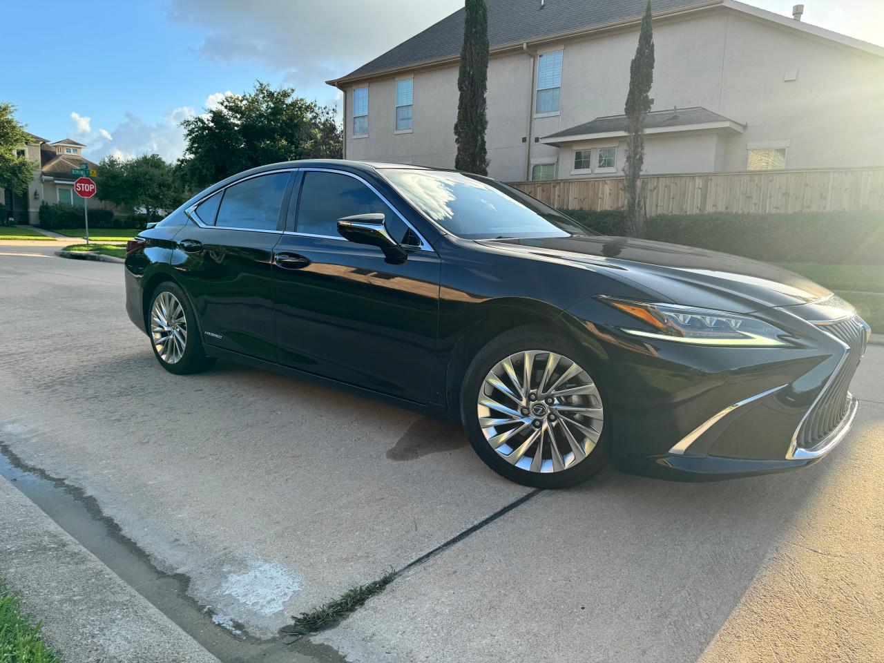 2019 LEXUS ES 300H