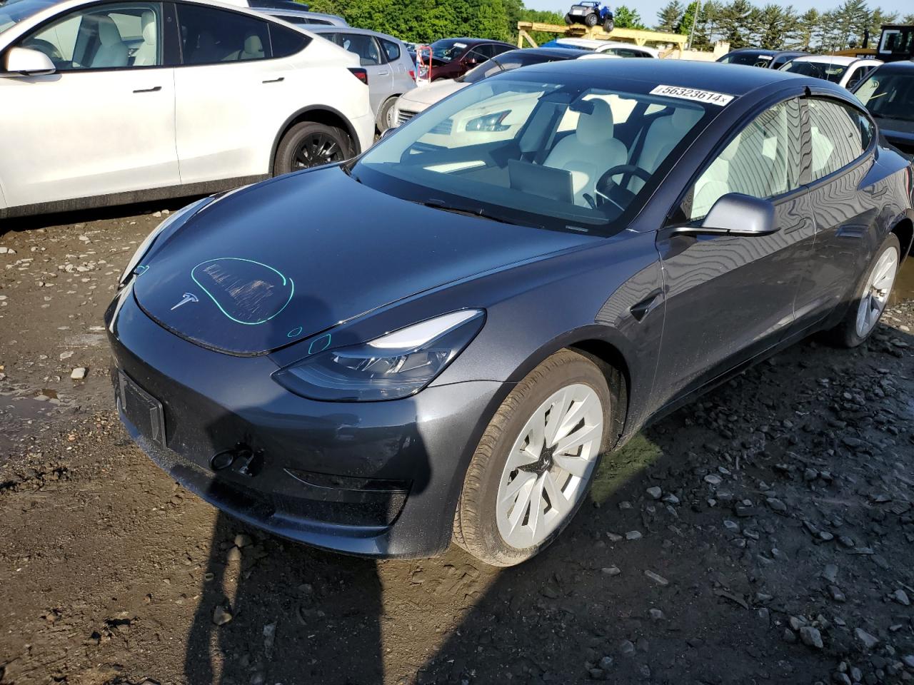 2023 TESLA MODEL 3