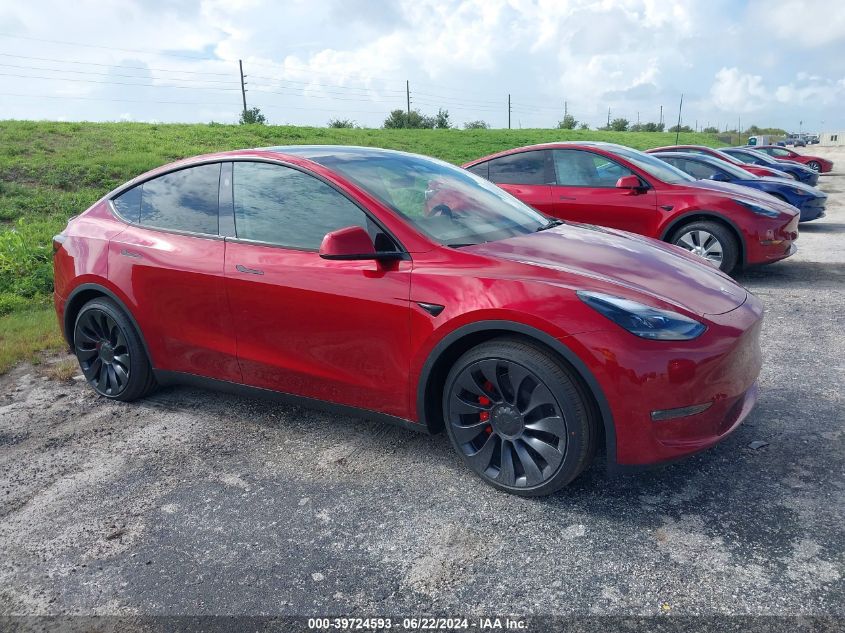 2024 TESLA MODEL Y