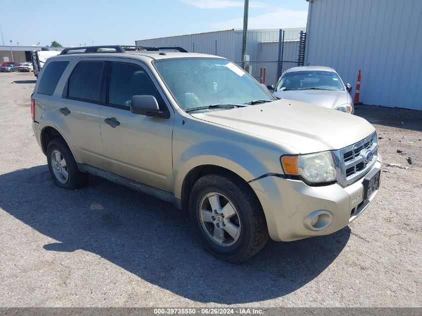 2012 FORD ESCAPE XLT