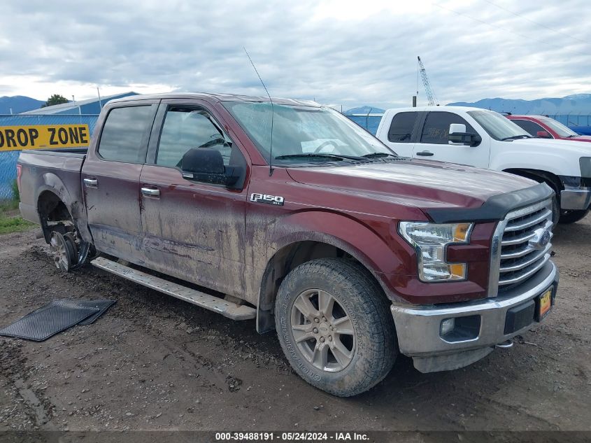 2015 FORD F-150 XLT