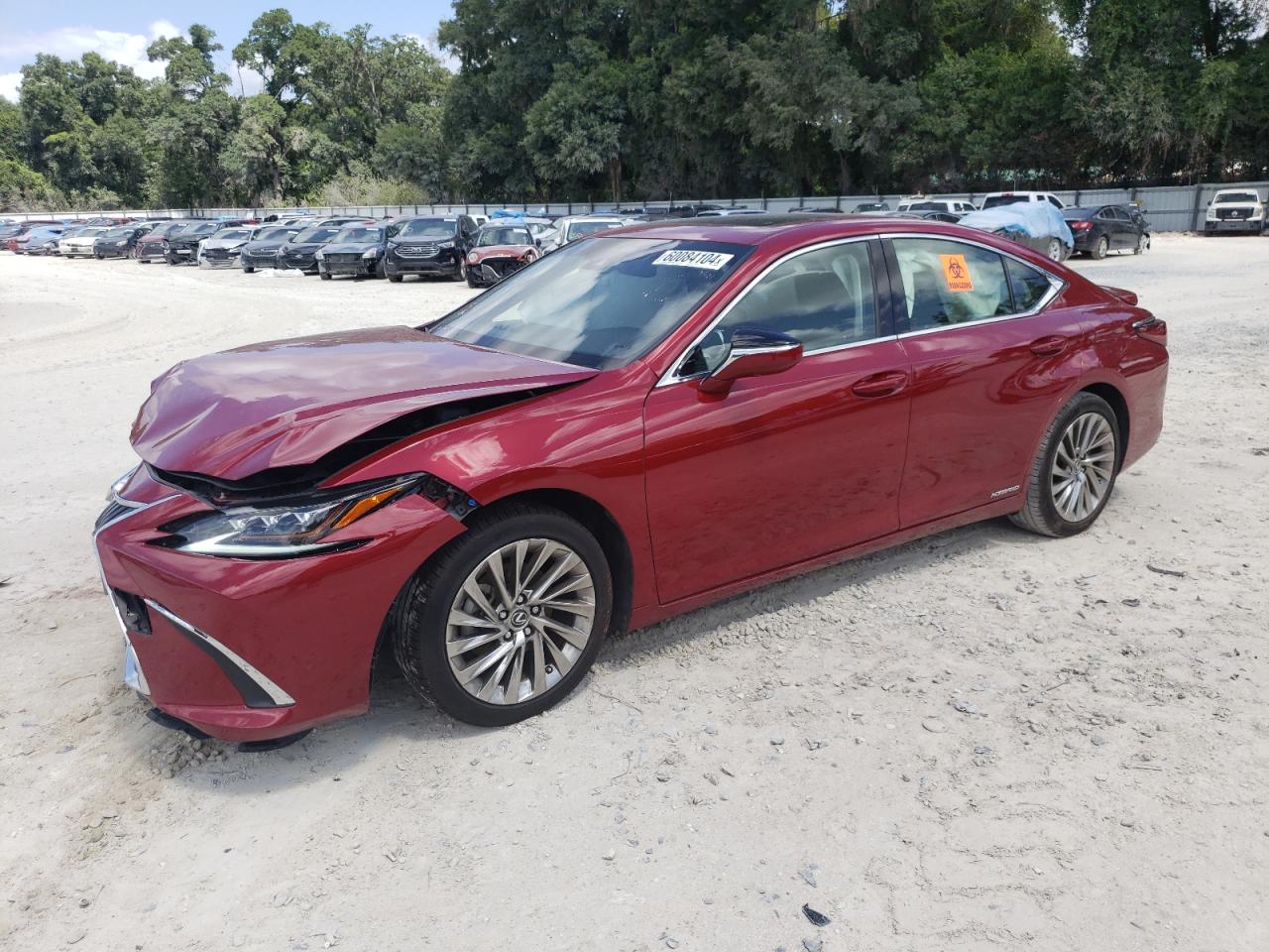 2019 LEXUS ES 300H