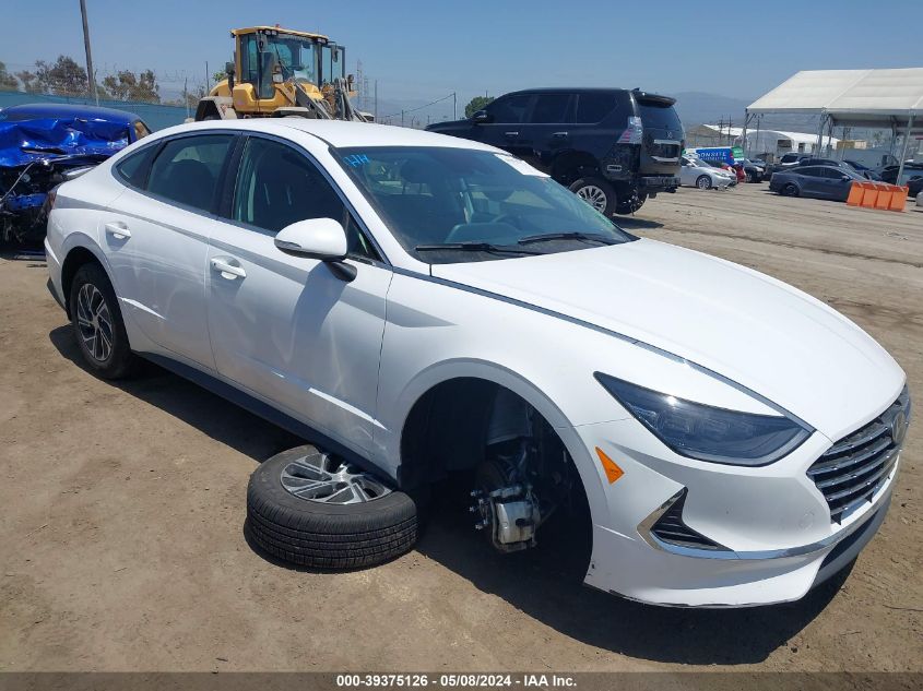 2023 HYUNDAI SONATA HYBRID BLUE