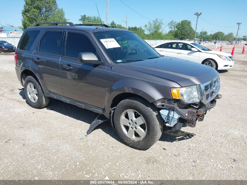 2012 FORD ESCAPE XLT