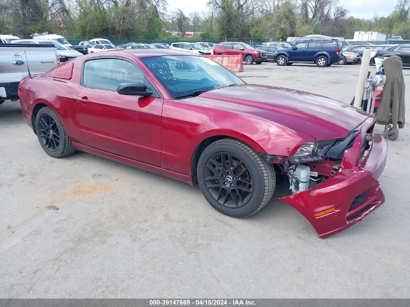 2014 FORD MUSTANG V6