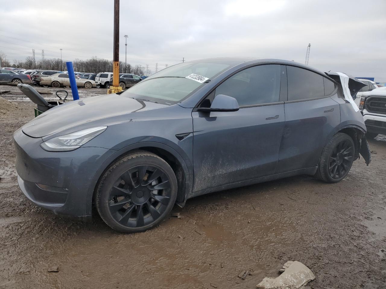 2020 TESLA MODEL Y