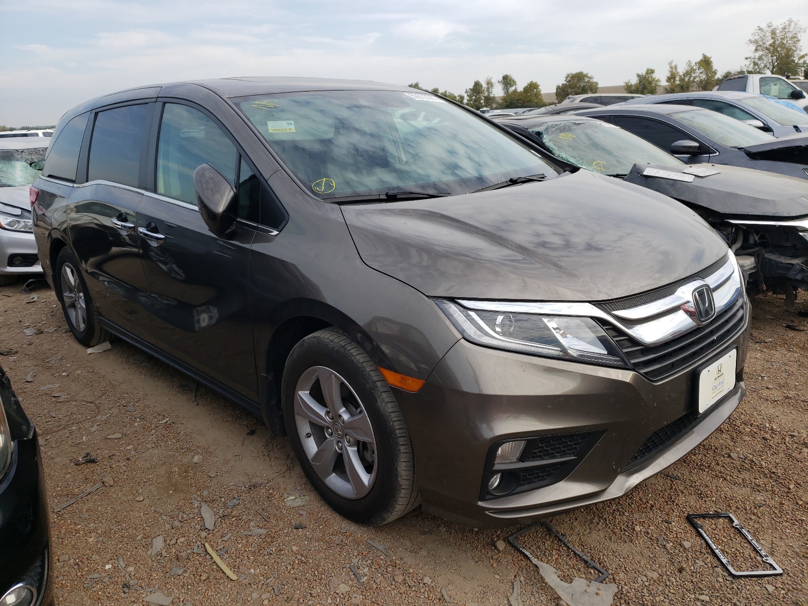 2019 HONDA ODYSSEY EXL