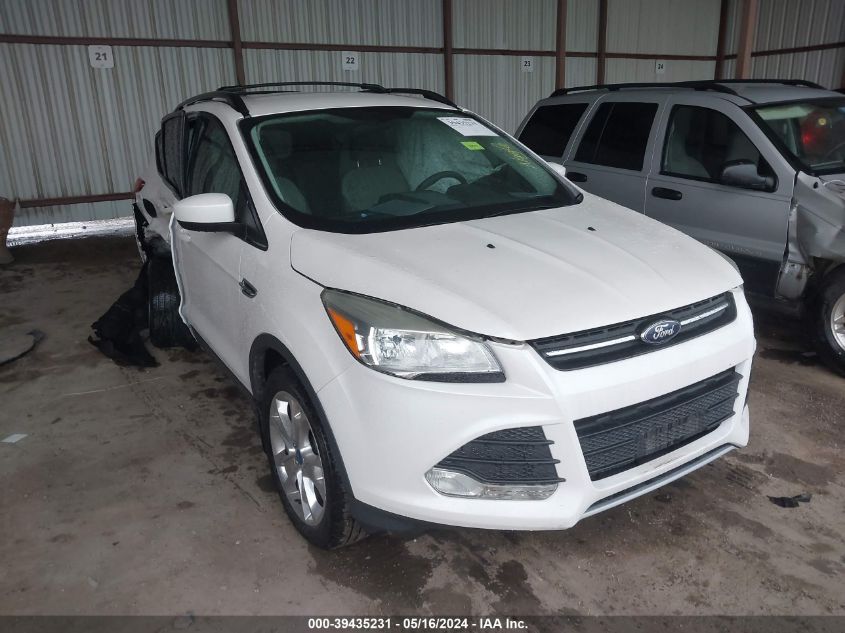 2013 FORD ESCAPE SE