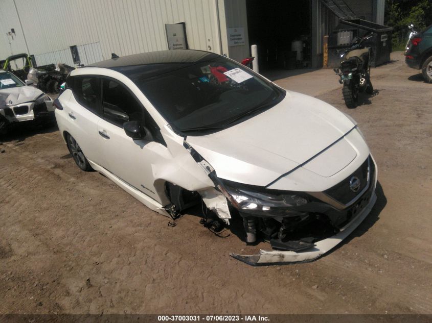 2019 NISSAN LEAF SV PLUS