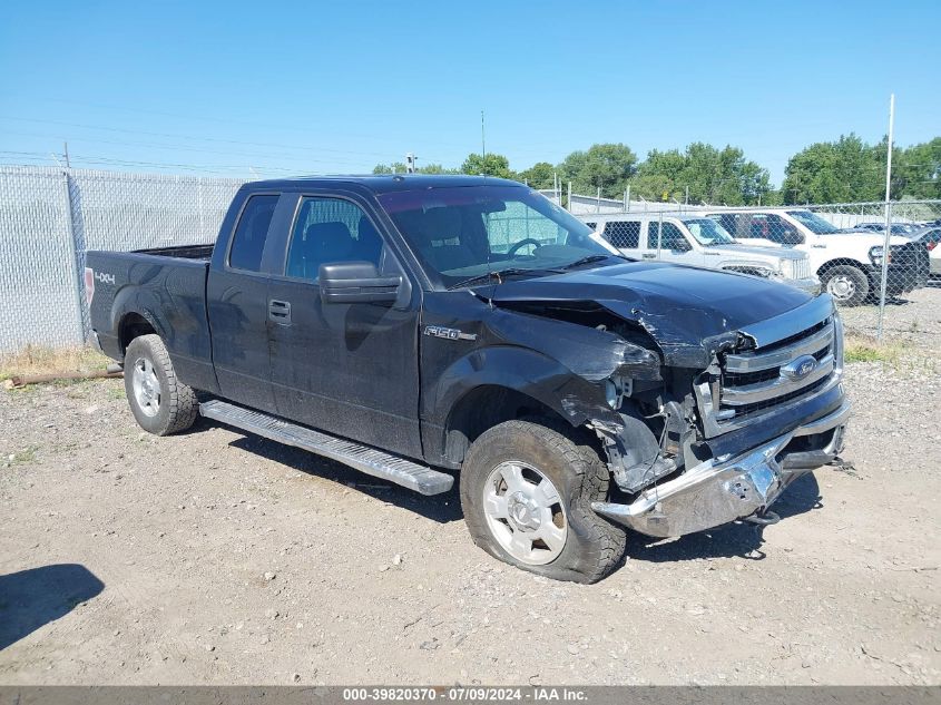 2013 FORD F-150 XLT