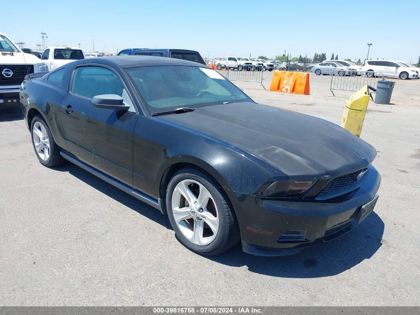 2010 FORD MUSTANG V6/V6 PREMIUM