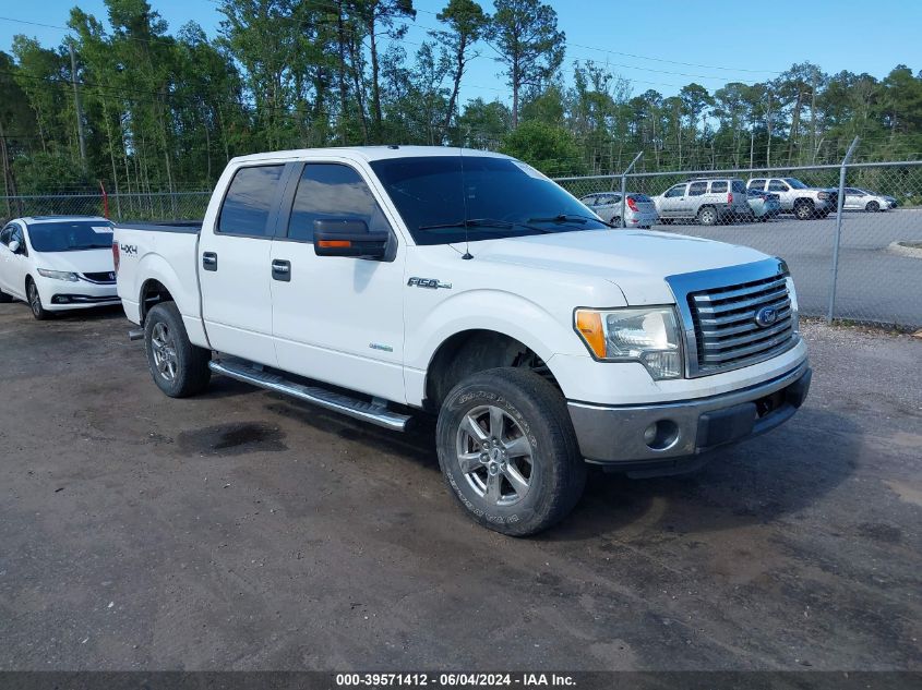 2012 FORD F-150 XLT