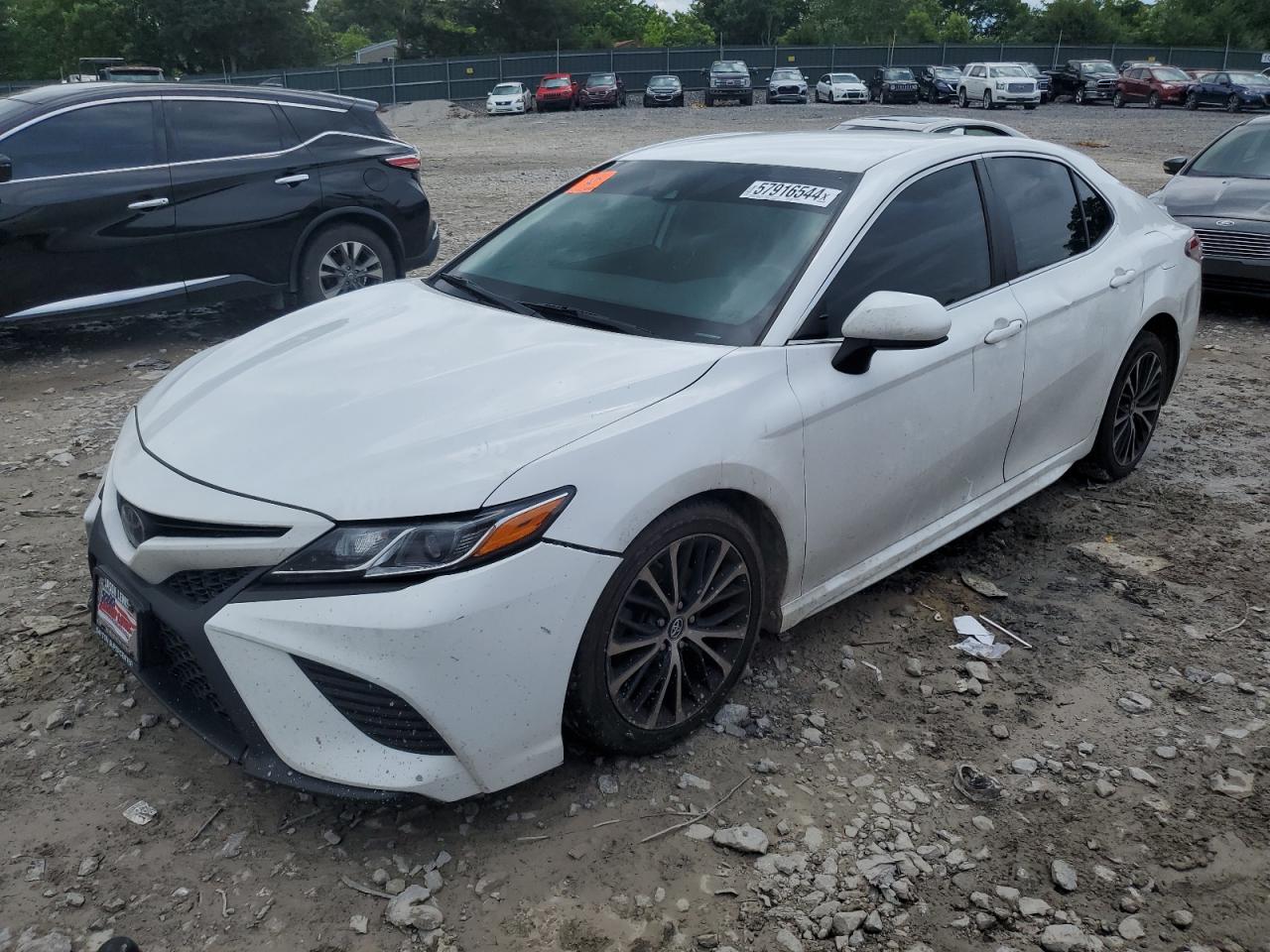 2019 TOYOTA CAMRY L