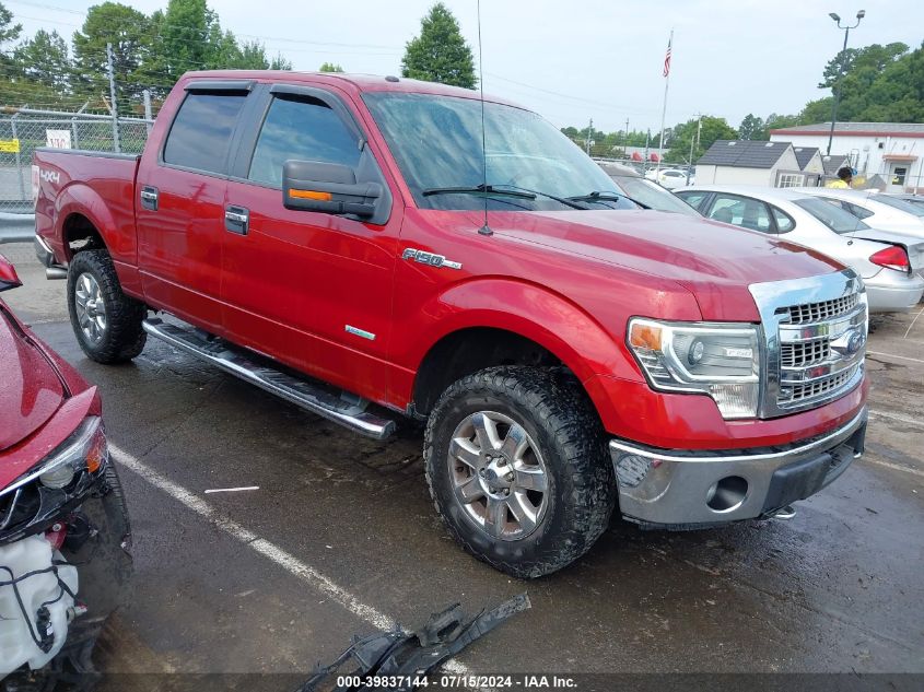 2014 FORD F-150 XLT