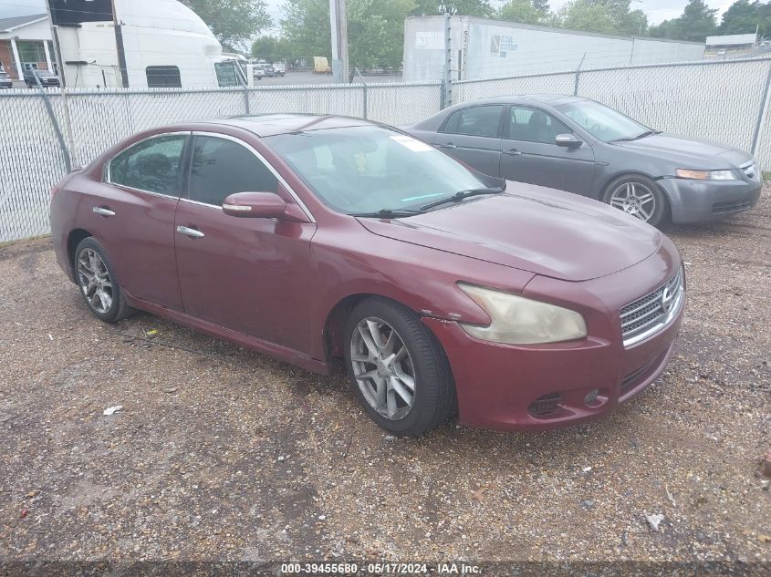 2010 NISSAN MAXIMA 3.5 SV