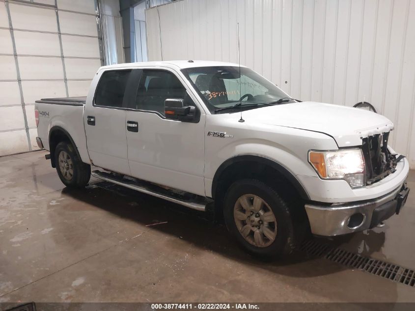 2011 FORD F-150 XLT