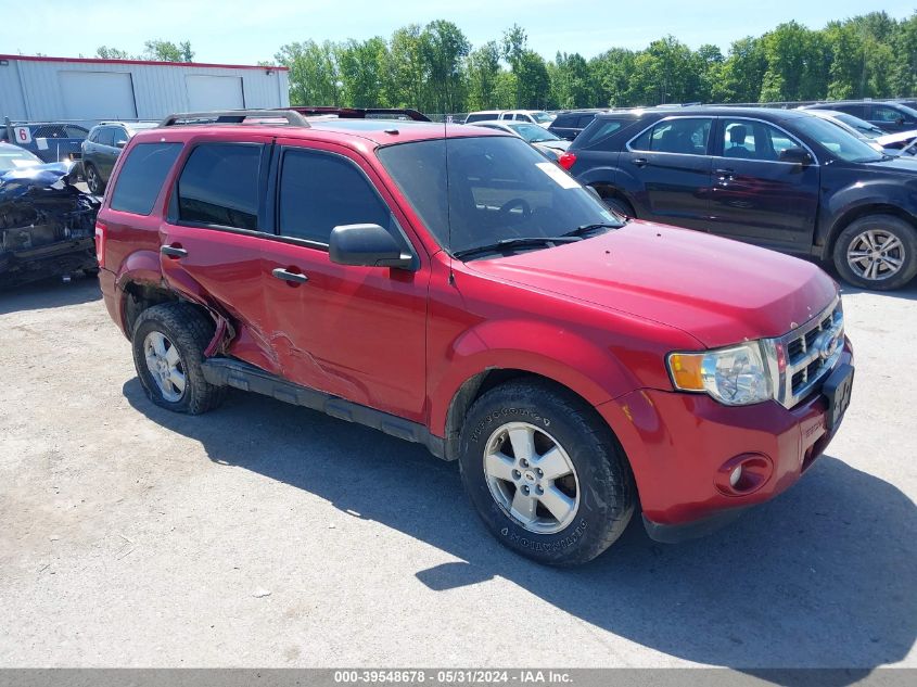 2012 FORD ESCAPE XLT