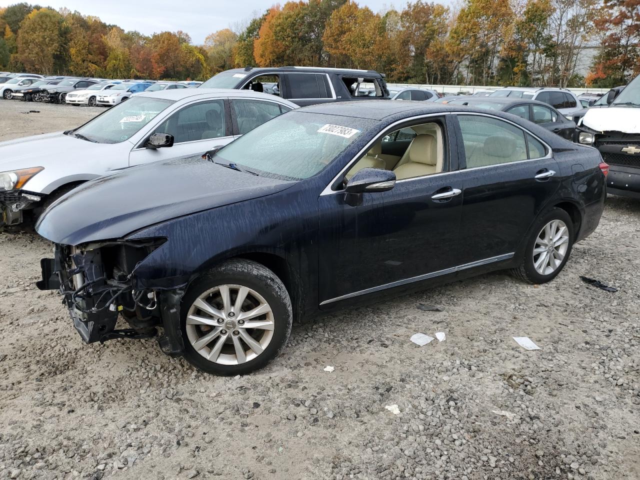 2010 LEXUS ES 350