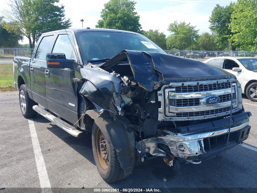 2014 FORD F-150 XLT