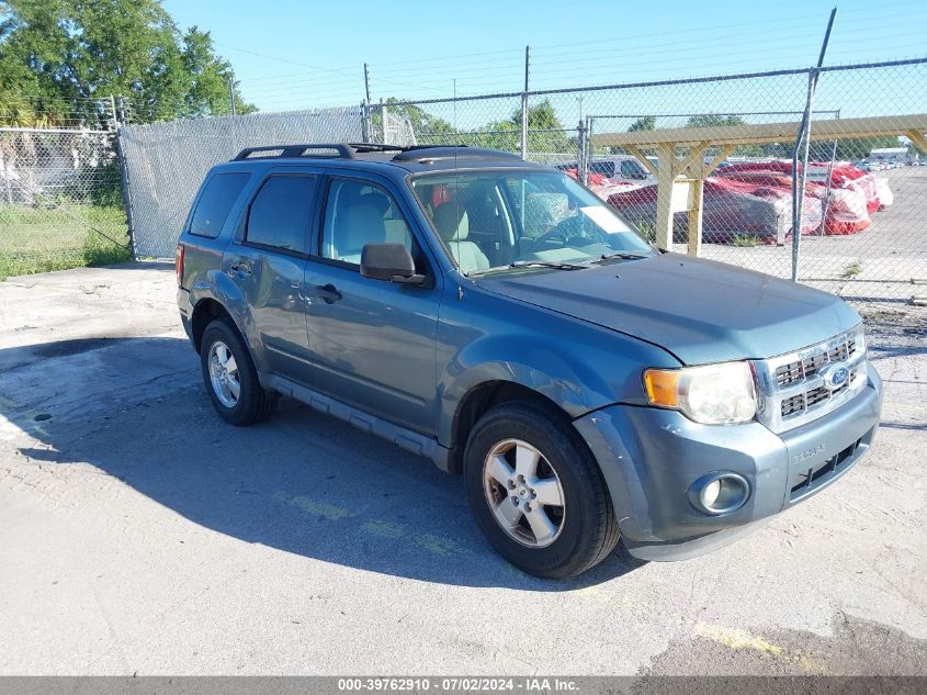 2011 FORD ESCAPE XLT