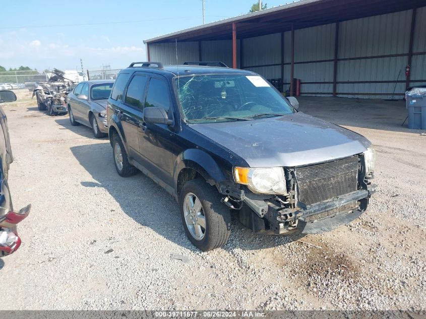 2011 FORD ESCAPE XLT