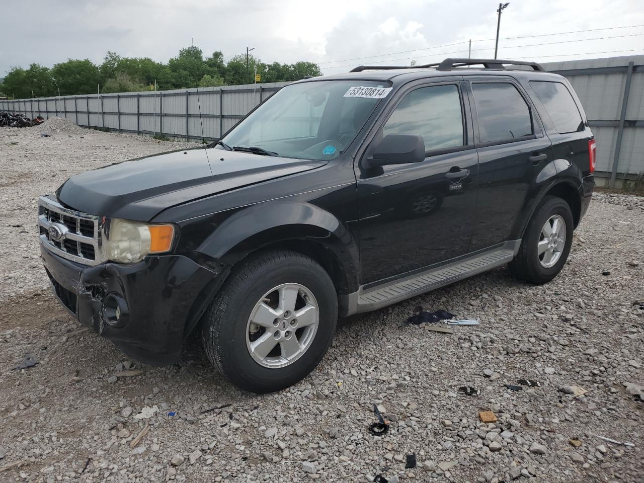 2010 FORD ESCAPE XLT