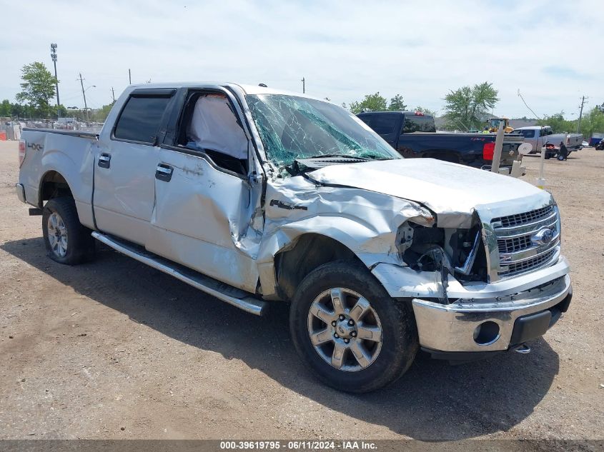 2013 FORD F-150 XLT