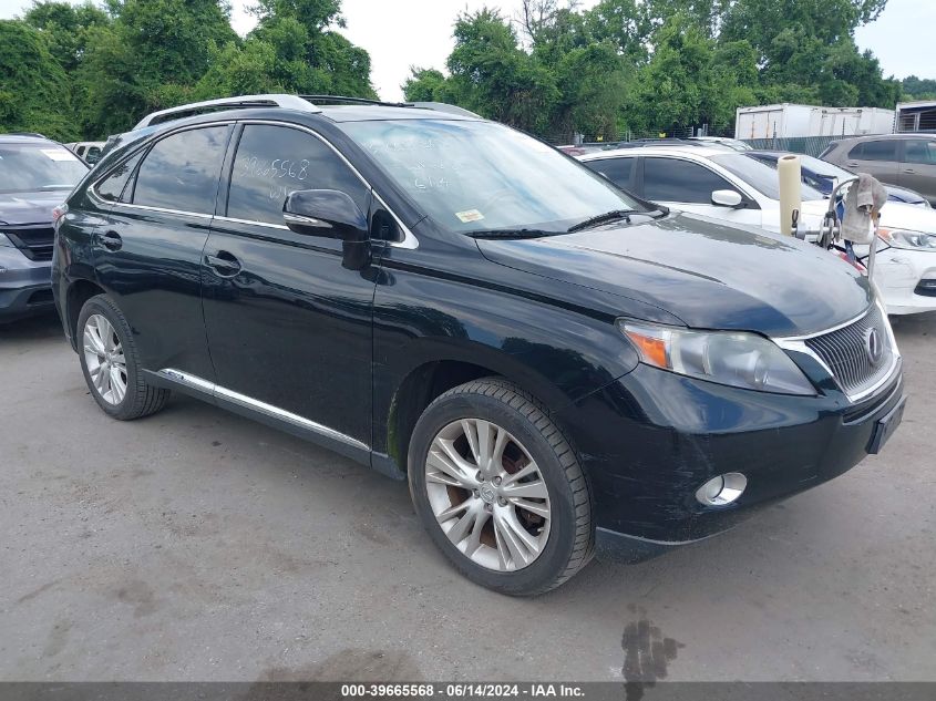 2010 LEXUS RX 450