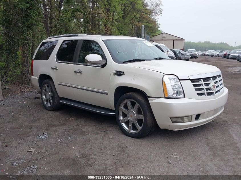 2010 CADILLAC ESCALADE LUXURY