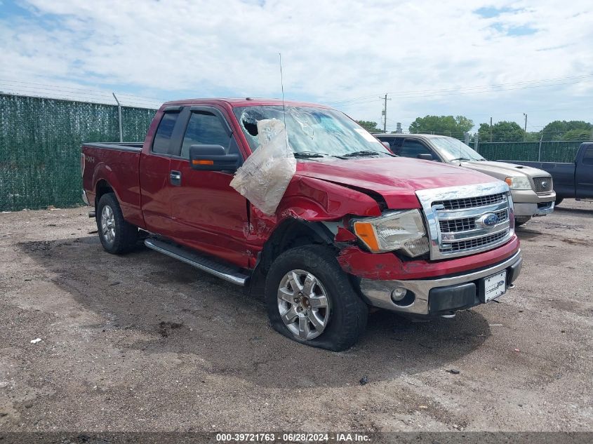 2013 FORD F-150 XLT