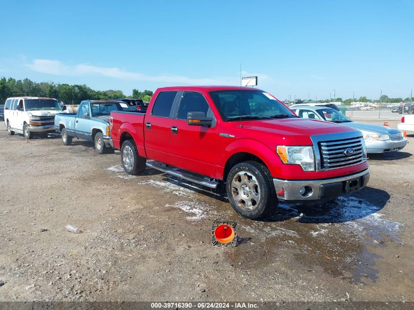 2010 FORD F-150 FX2 SPORT/HARLEY-DAVIDSON/KING RANCH/LARIAT/PLATINUM/XL/XLT