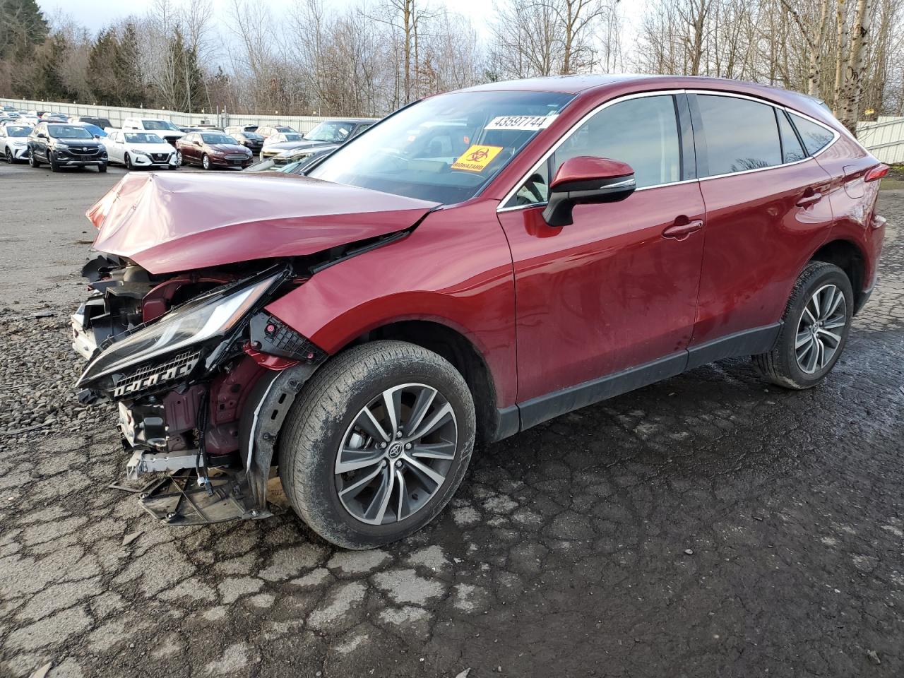 2023 TOYOTA VENZA LE