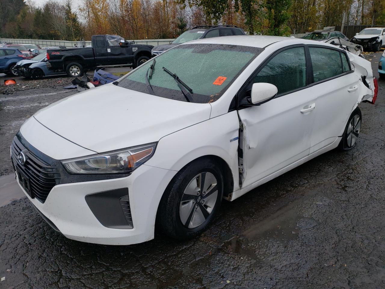 2019 HYUNDAI IONIQ BLUE