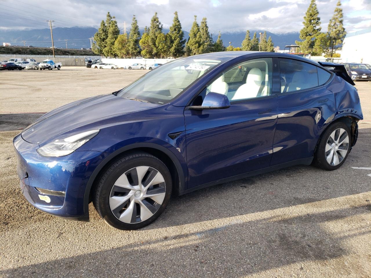 2022 TESLA MODEL Y