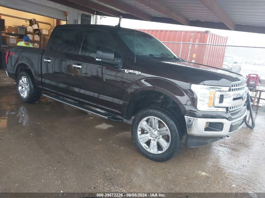 2019 FORD F-150 XLT