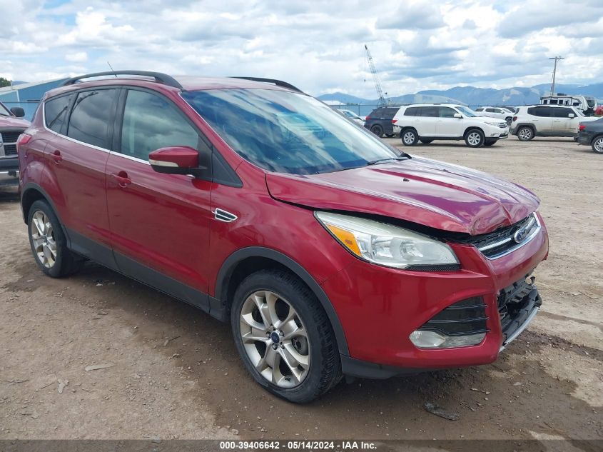 2013 FORD ESCAPE SEL