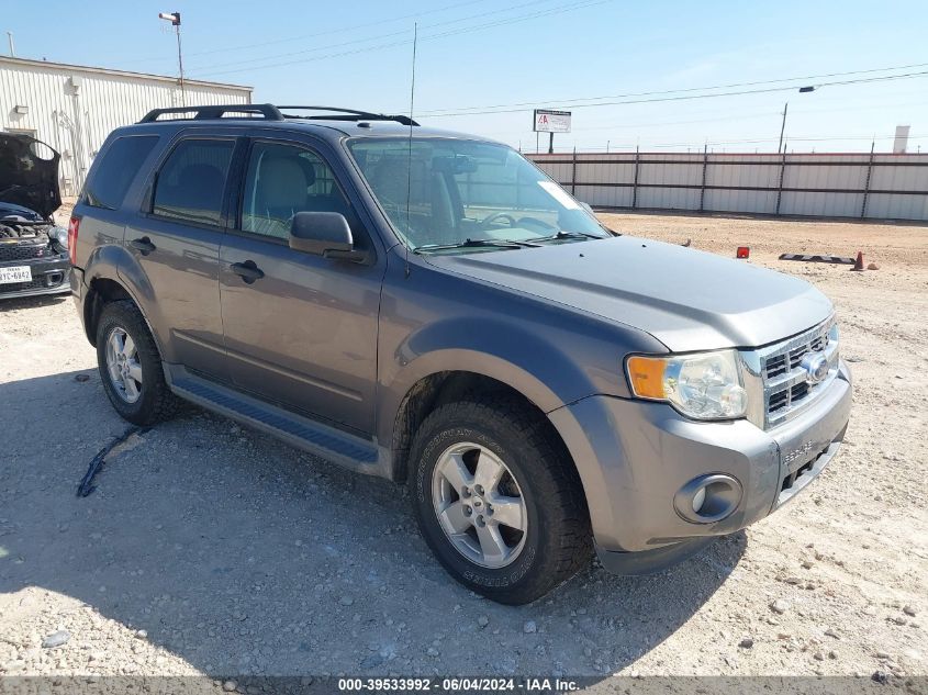 2010 FORD ESCAPE XLT