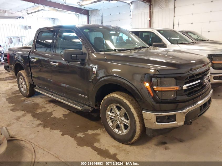 2024 FORD F150 XLT