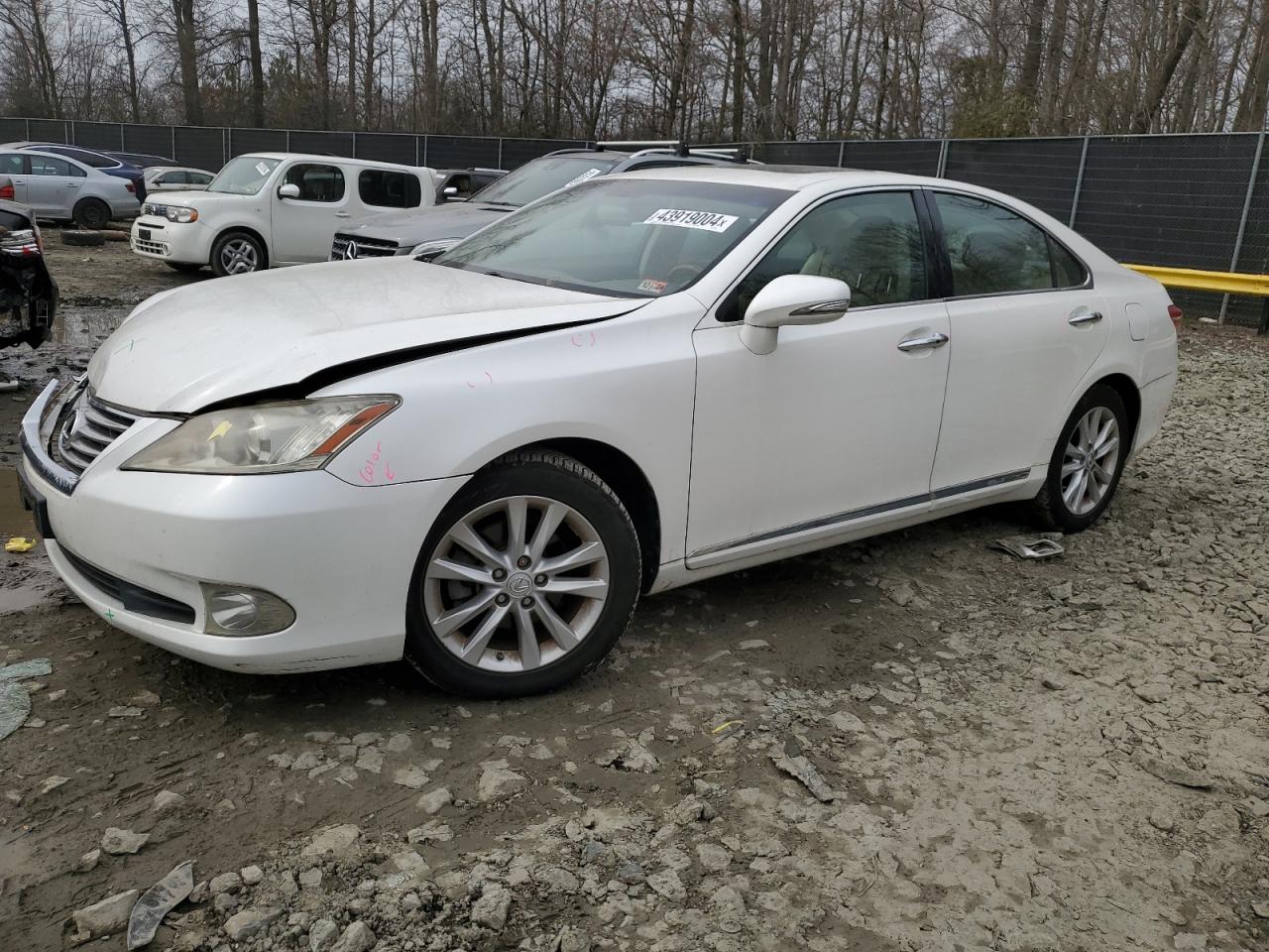 2010 LEXUS ES 350