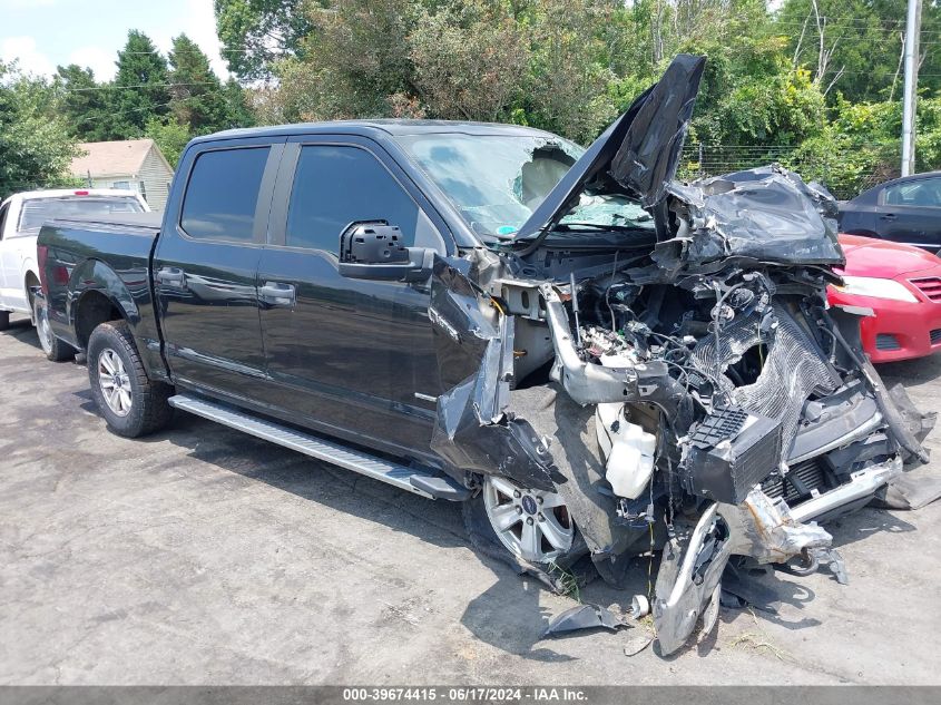 2015 FORD F-150 XL