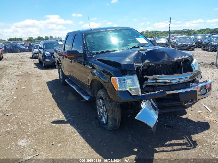 2014 FORD F-150 XLT