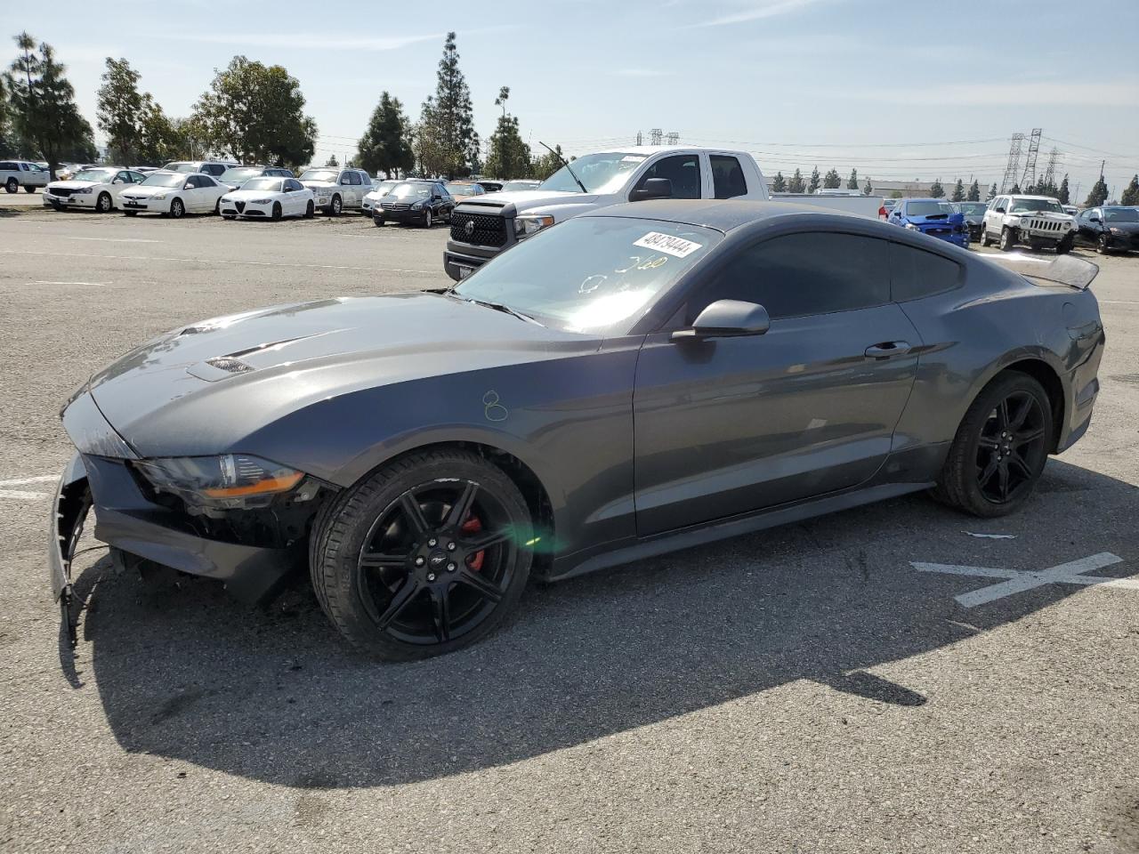 2019 FORD MUSTANG