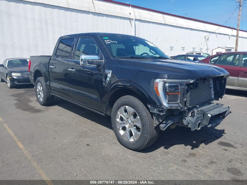 2023 FORD F-150 PLATINUM