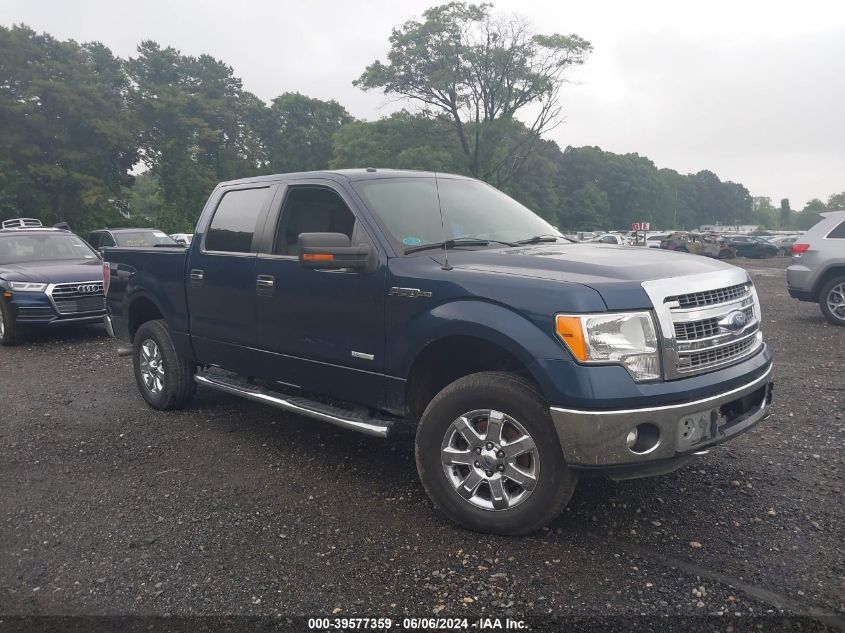 2013 FORD F-150 XLT