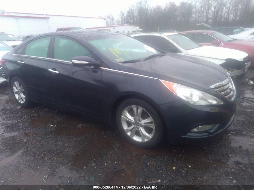 2013 HYUNDAI SONATA LIMITED