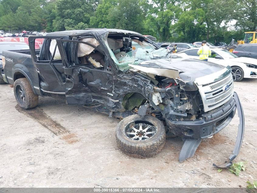 2013 FORD F-150 PLATINUM